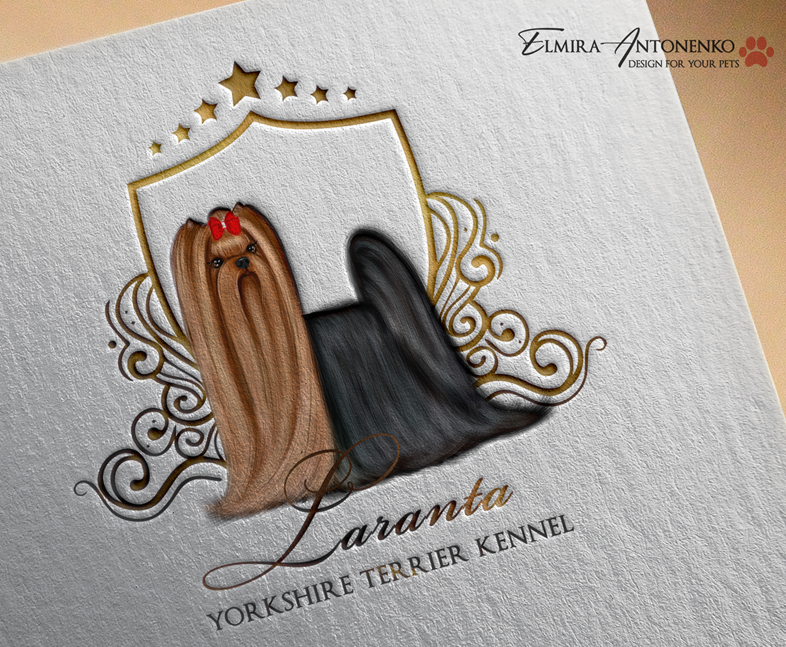 LARANTA &mdash; Labaza DogPedigree YorkshireTerrier